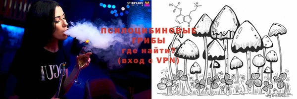PSILOCYBIN Надым
