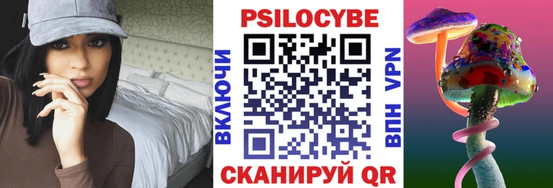 дарк нет телеграм omg как войти Белая Калитва Псилоцибиновые грибы Magic Shrooms