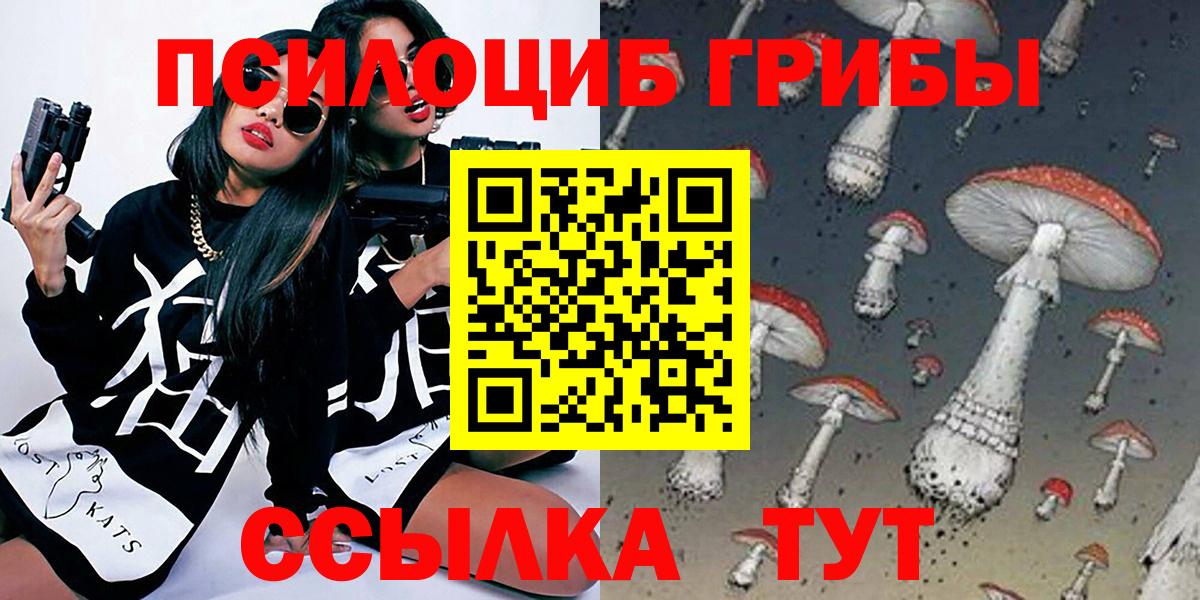 Галлюциногенные грибы мухоморы  Псилоцибиновые грибы Psilocybine cubensis  Белая Калитва 