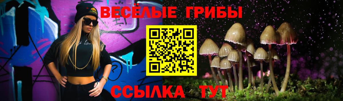 Галлюциногенные грибы GOLDEN TEACHER Белая Калитва